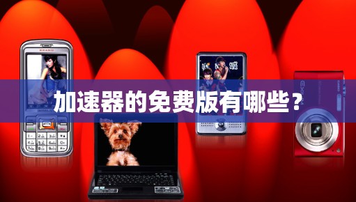 加速器的免费版有哪些？
