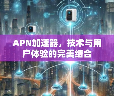 APN加速器，技术与用户体验的完美结合