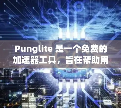 Punglite 是一个免费的加速器工具，旨在帮助用户加速网页加载和资源下载。以下是对 Punglite 的详细分析