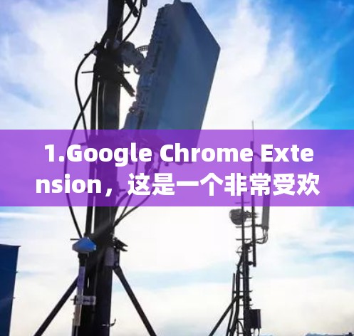 1.Google Chrome Extension，这是一个非常受欢迎的免费加速器，专为Google Chrome设计，功能强大，适合各种加速需求