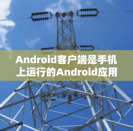 Android客户端是手机上运行的Android应用，主要用于提供多样的功能和用户体验。以下是对 Android 应用的详细总结