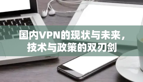 国内VPN的现状与未来，技术与政策的双刃剑