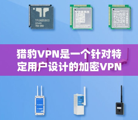 猎豹VPN是一个针对特定用户设计的加密VPN服务，主要针对那些希望在安全性和隐私方面有所追求的用户。以下是对猎豹VPN的详细介绍