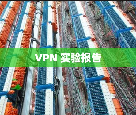 VPN 实验报告 VPN 实验报告