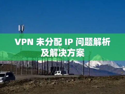 VPN 未分配 IP 问题解析及解决方案