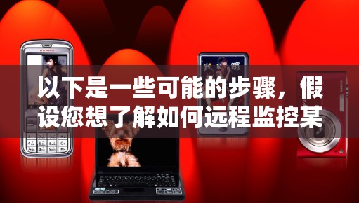 以下是一些可能的步骤，假设您想了解如何远程监控某个VPN