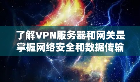 了解VPN服务器和网关是掌握网络安全和数据传输的关键。以下是对这两个概念的详细介绍