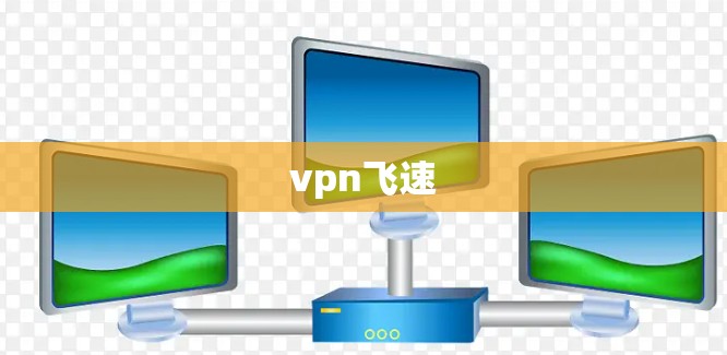 vpn飞速