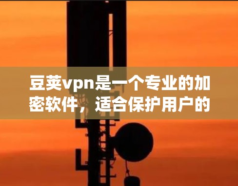 豆荚vpn是一个专业的加密软件，适合保护用户的数据和文件安全。以下是详细的使用步骤和功能说明