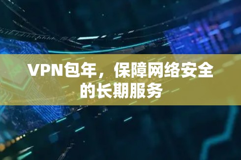 VPN包年，保障网络安全的长期服务