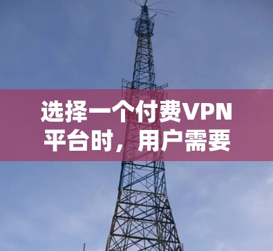选择一个付费VPN平台时，用户需要综合考虑多个因素，以确保平台的安全性、性能和满足他们的需求。以下是一个详细的分析，帮助您选择一个适合的付费VPN平台
