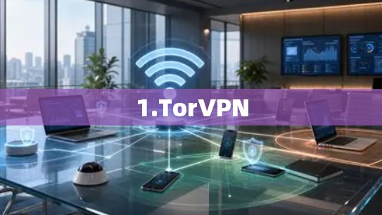 1.TorVPN