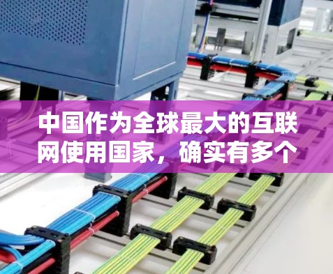 中国作为全球最大的互联网使用国家，确实有多个提供VPN服务的平台。以下是一些中国知名的VPN服务，供您参考