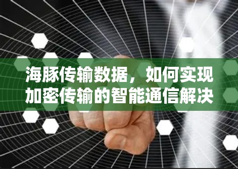 海豚传输数据，如何实现加密传输的智能通信解决方案