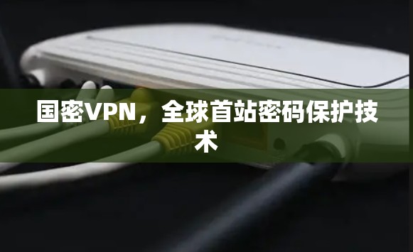 国密VPN，全球首站密码保护技术
