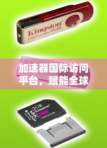 加速器国际访问平台,赋能全球通信与数据共享 加速器国际访问平台,赋能全球通信与数据共享