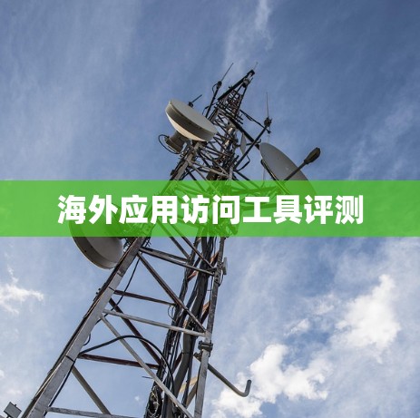 海外应用访问工具评测