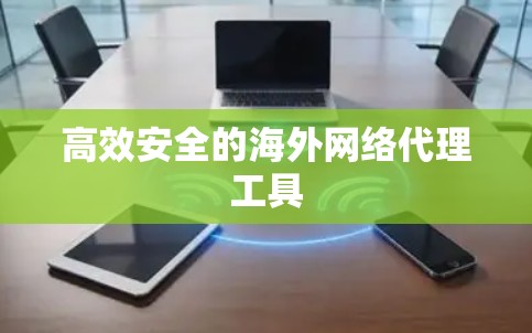高效安全的海外网络代理工具 高效安全的海外网络代理工具