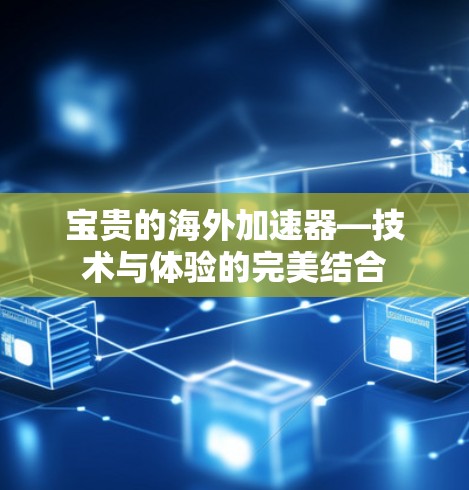 宝贵的海外加速器—技术与体验的完美结合 宝贵的海外加速器—技术与体验的完美结合