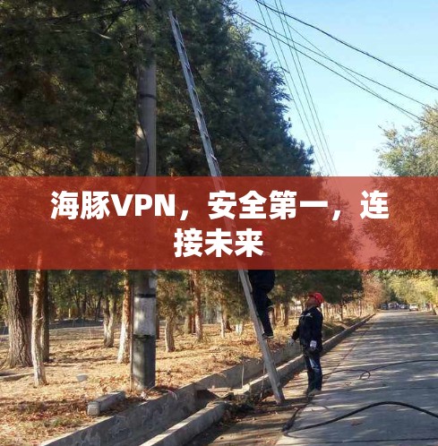 海豚VPN,安全第一,连接未来 海豚VPN,安全第一,连接未来