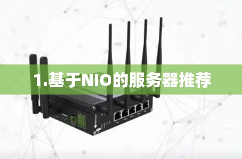 1.基于NIO的服务器推荐