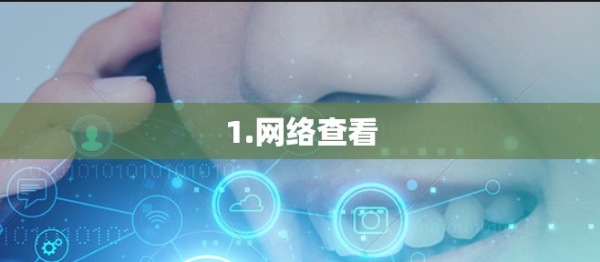 1.网络查看 1.网络查看