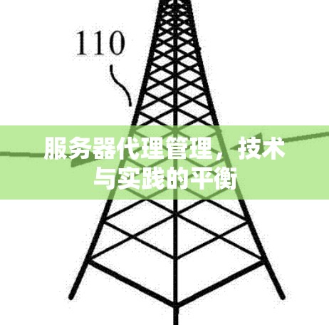 服务器代理管理,技术与实践的平衡 服务器代理管理,技术与实践的平衡